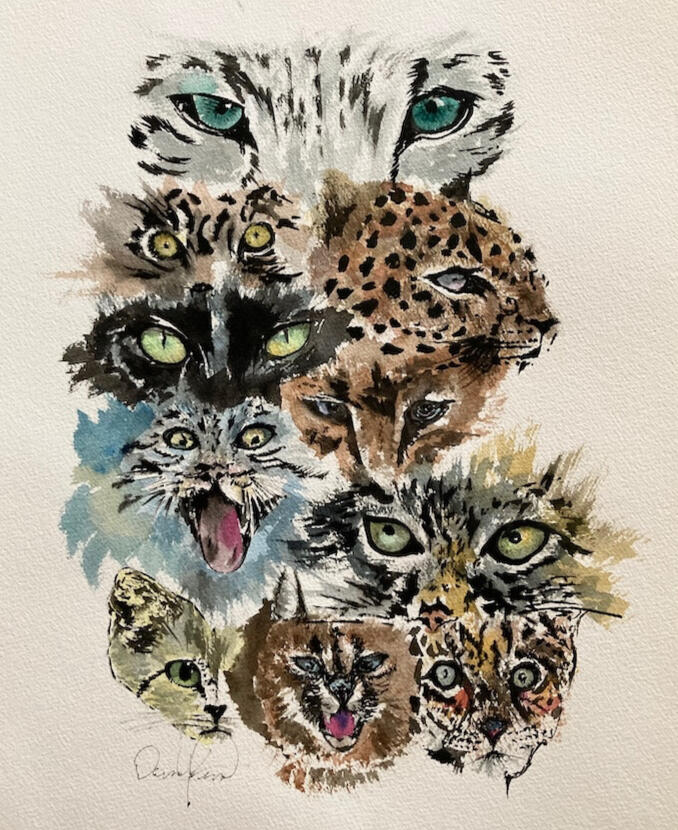 Cat Eye various exotic cat faces